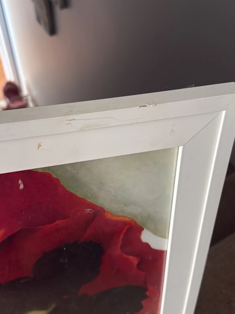 'Chelsea' Framed Floral Art Print - Red